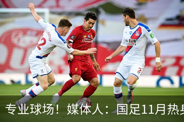 专业球场！媒体人：国足11月热身赛大概率移师肇庆进行