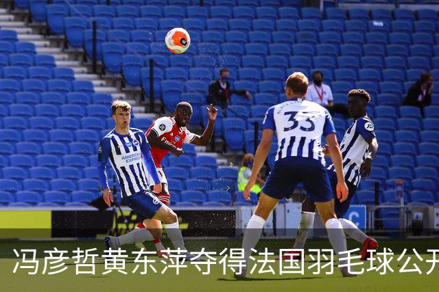 冯彦哲/黄东萍夺得法国羽毛球公开赛混双冠军