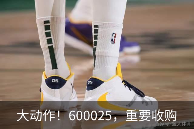 大动作！600025，重要收购