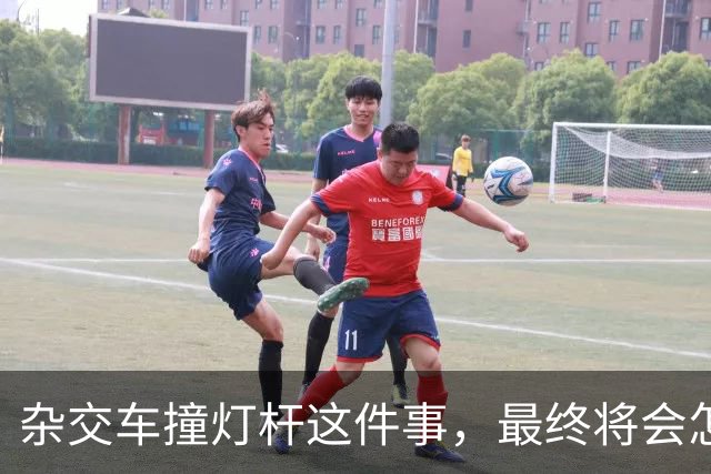 杂交车撞灯杆这件事，最终将会怎样收场？