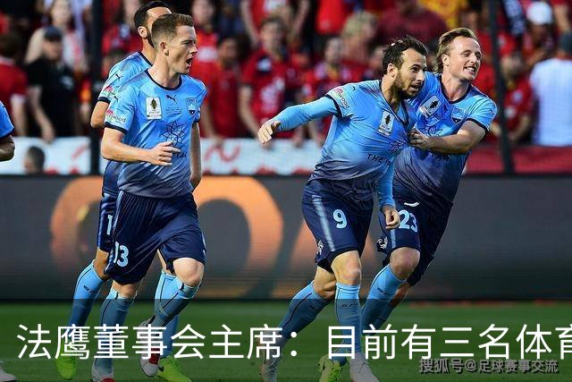 法鹰董事会主席：目前有三名体育总监候选人，很快将做决定