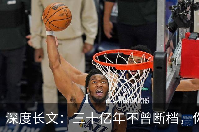 深度长文：三十亿年不曾断档，你本身就是地球上最大的奇迹！
