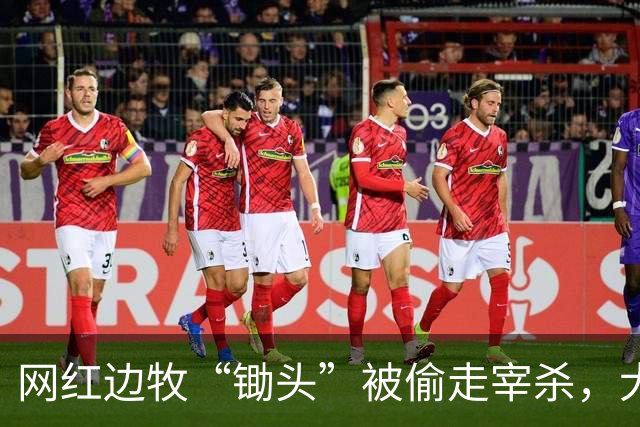 网红边牧“锄头”被偷走宰杀，犬主最新回应：双方已和解，对方赔偿30万元，将全部捐给宠物救助机构