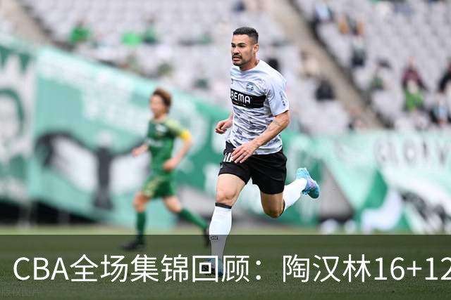 CBA全场集锦回顾：陶汉林16+12，山东力克天津