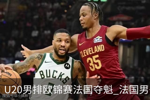 U20男排欧锦赛法国夺魁 法国男子排球赛季大满贯